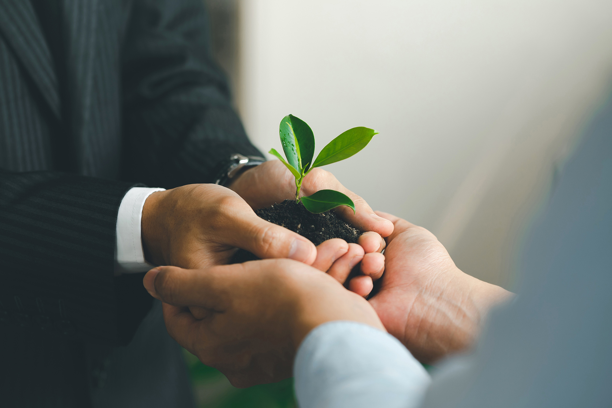 Ricoh and Agilico: Growing Sustainable Partnerships